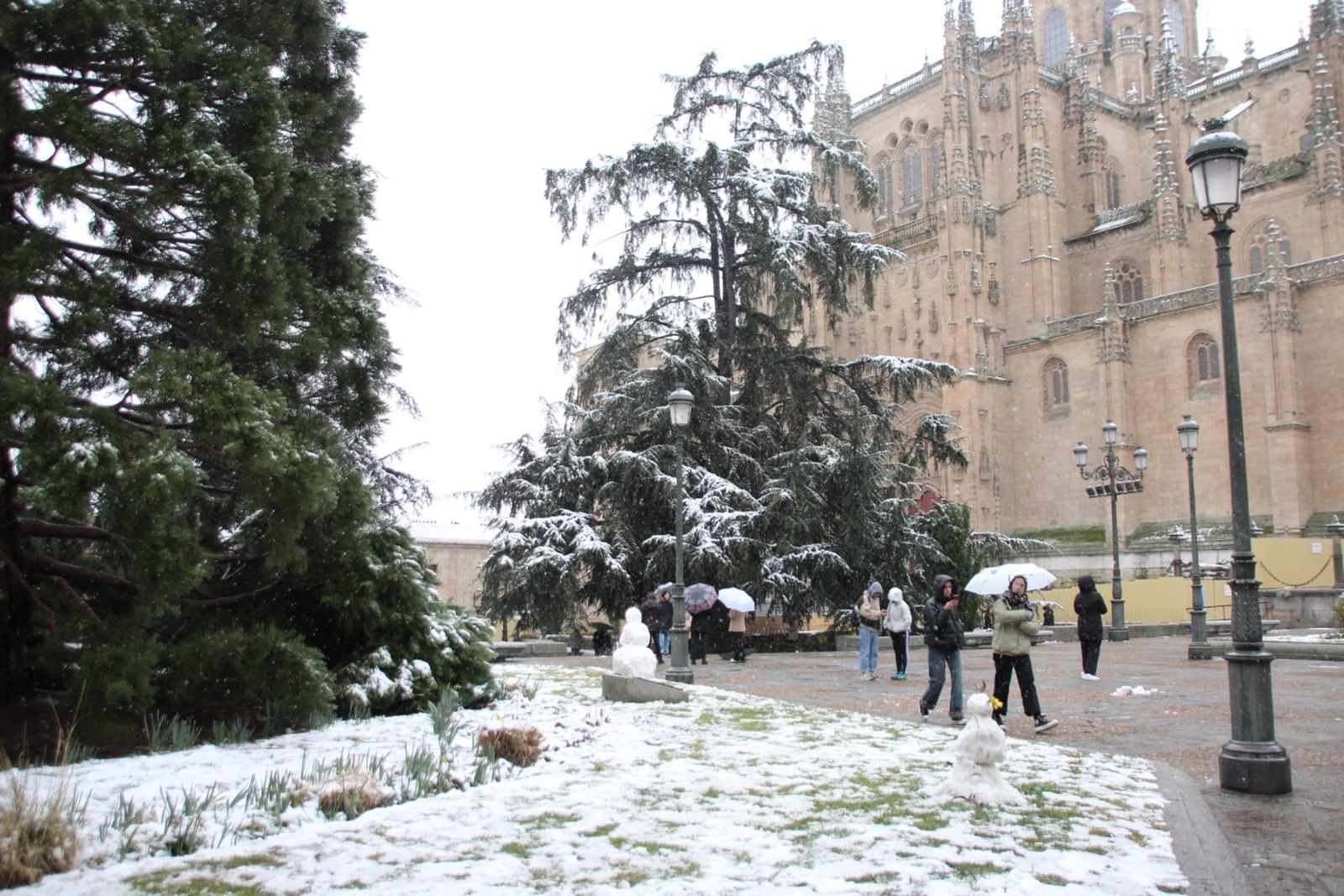 galeria-nieve-en-salamanca-capital-23-de-febrero-9