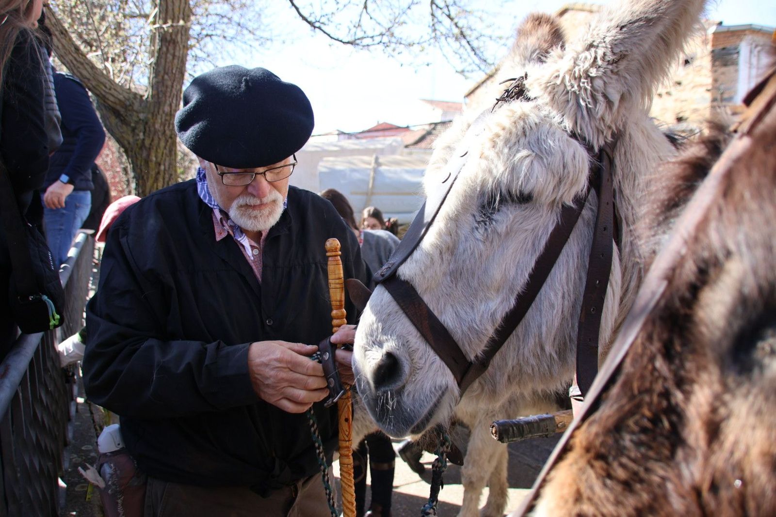 20240217122133-img-6795