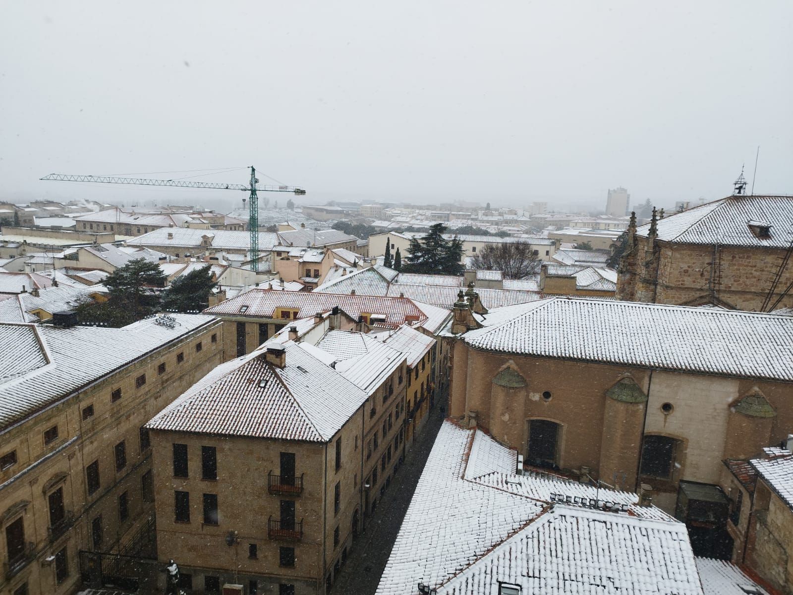 nieve-en-la-zona-de-la-catedral-jueves-23-de-febrero-9