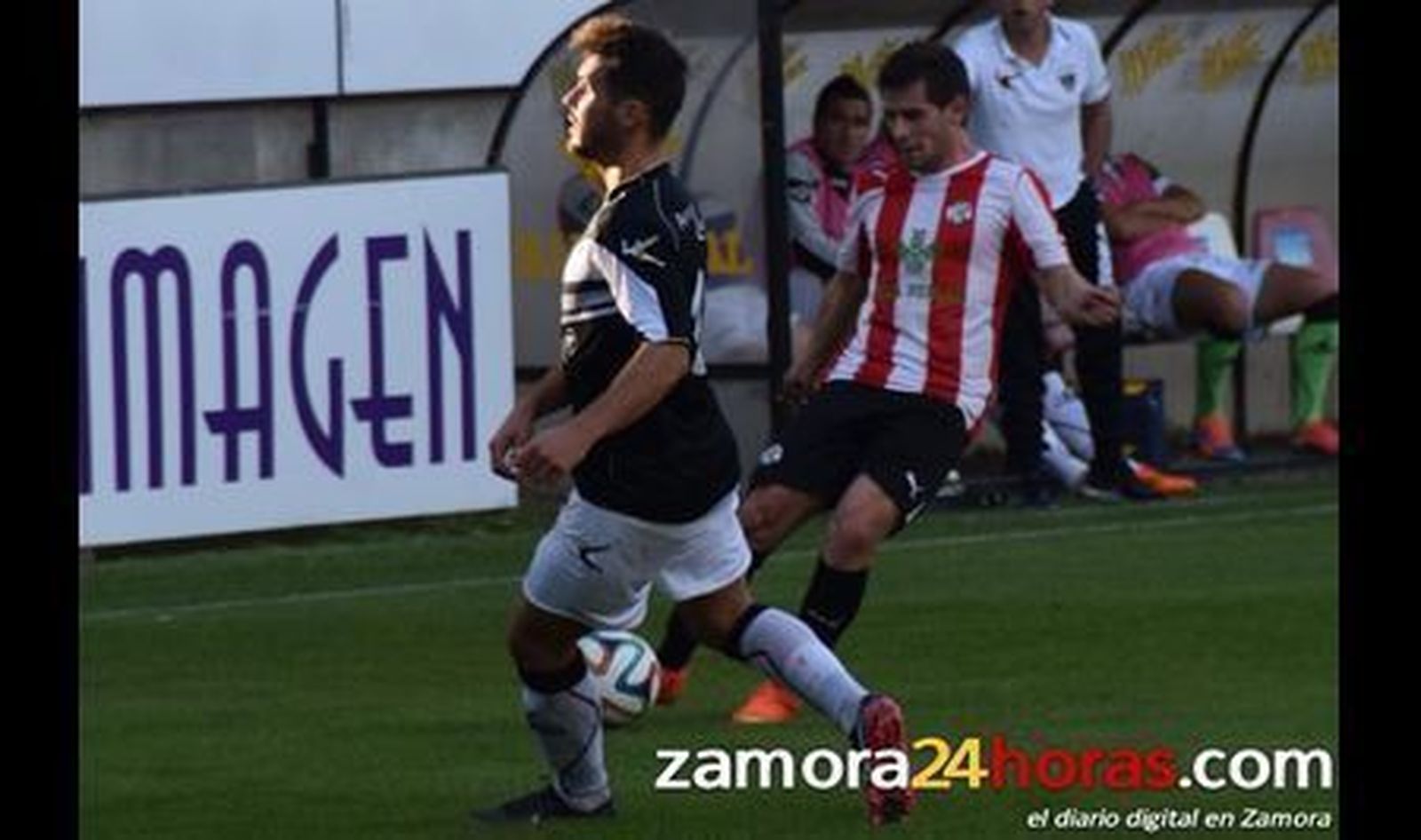 ZCF - Lealtad (juego)