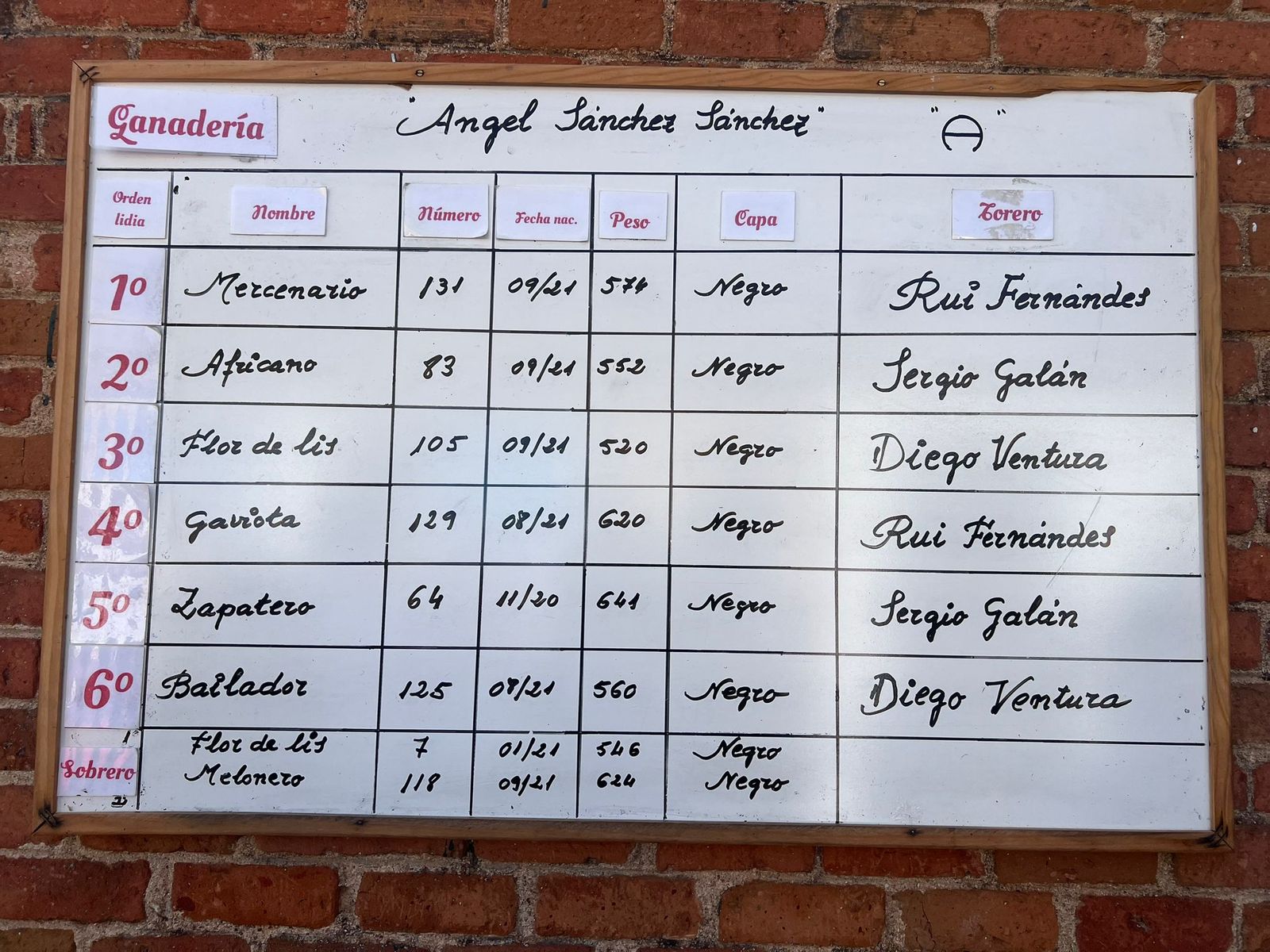 Tablilla del sorteo de los toros de Sánchez y Sánchez para Rui Fernandes, Sergio Galán y Diego Ventura