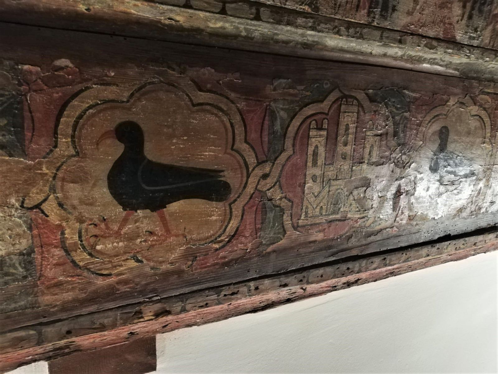 Chova Piquirroja del convento de Las Claras en Salamanca