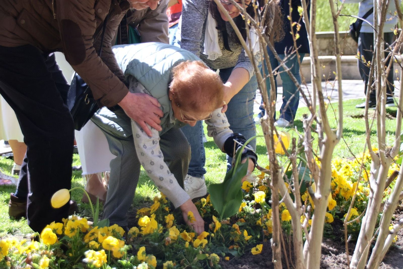 20240410121244-img-7395