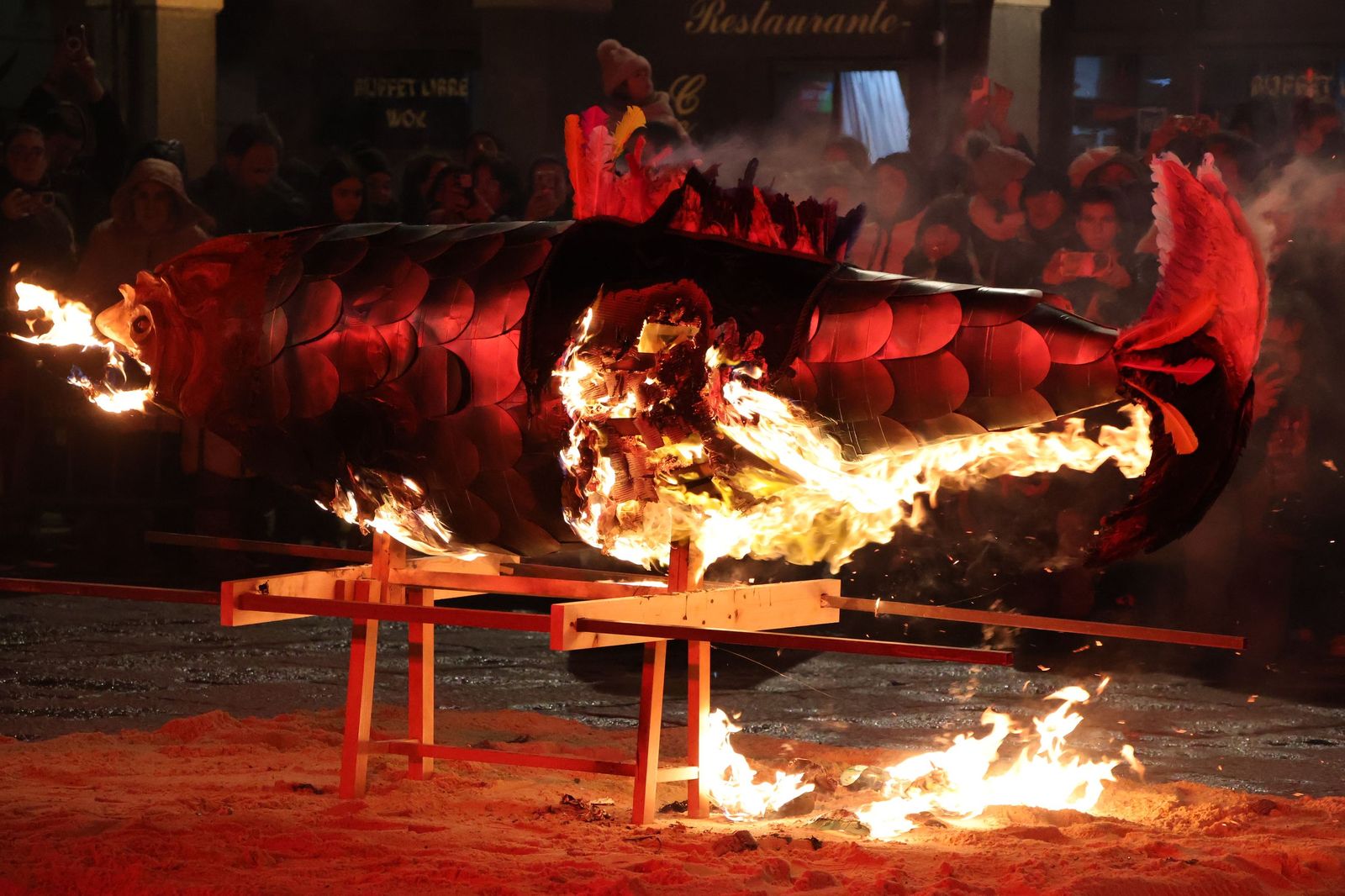 GALERÍA | Entierro de la sardina Zamora 2026