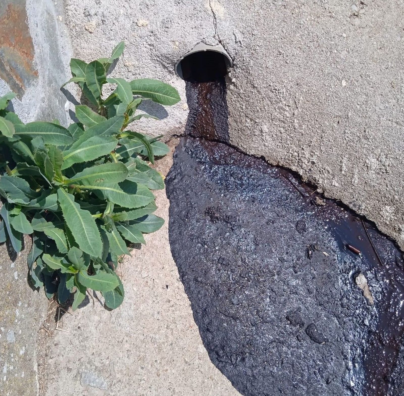 puebla-de-san-medel-manchas-de-alquiltran-4