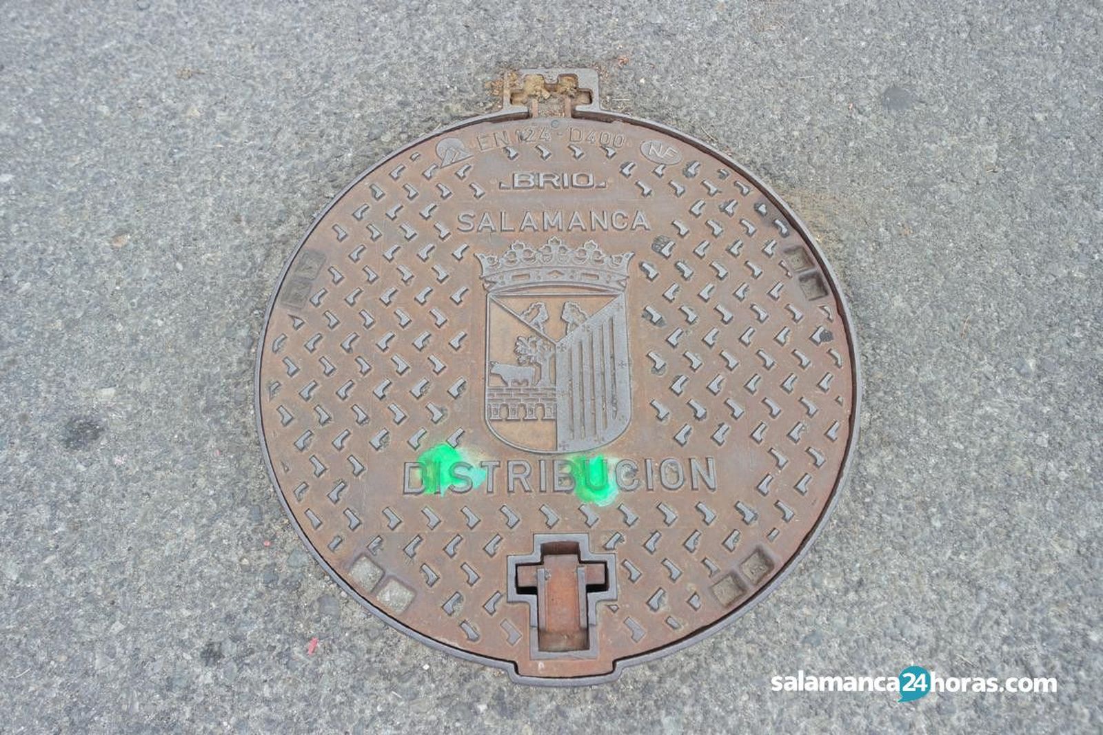 Control de plagas (9) 1200x800