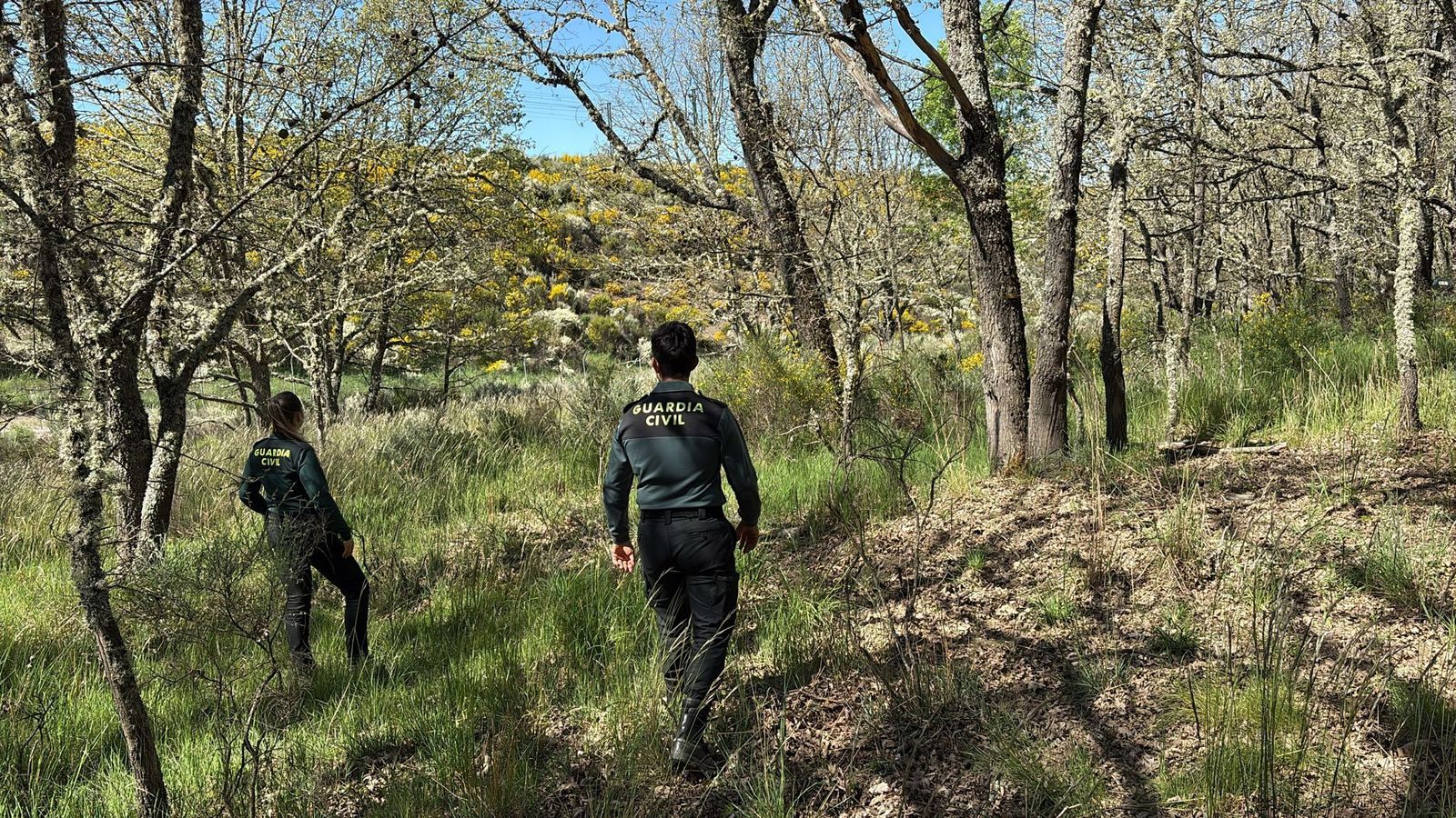 whatsapp-image-2025-05-23-at-13-09-50-1