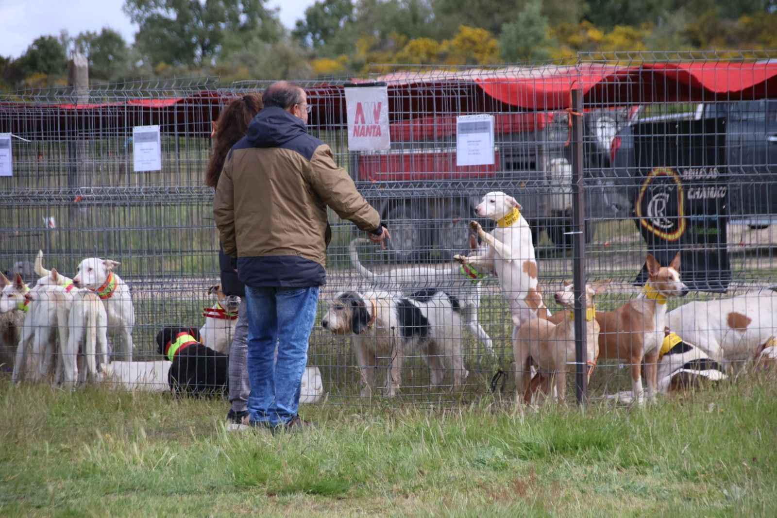 20240501103738-img-2940