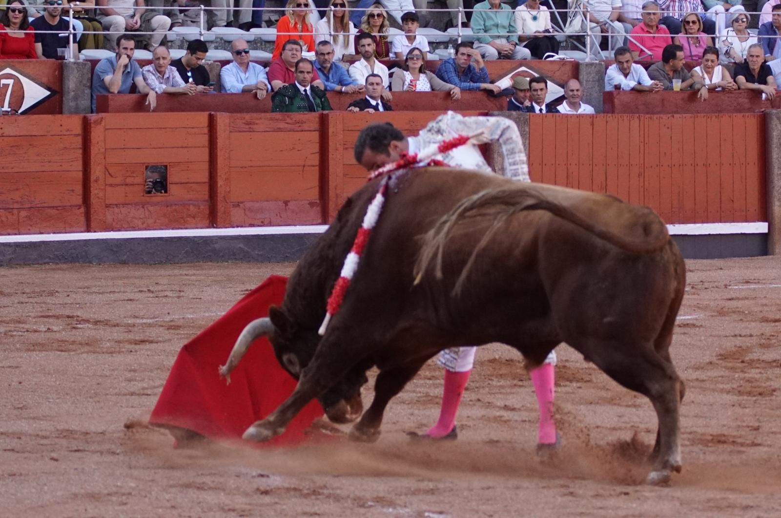 Presencia salmantina por partida doble en la primera corrida de la feria: Damián Castaño e Ismael Martín junto al mexicano Diego San Román