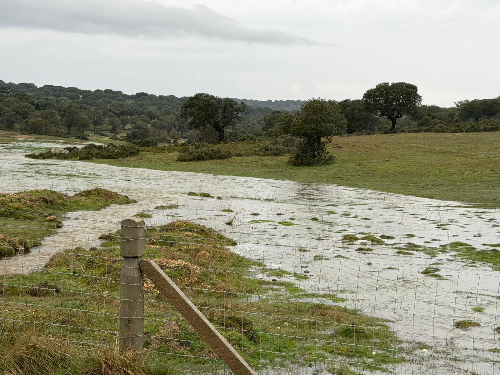 Granizo en Mozárbaz