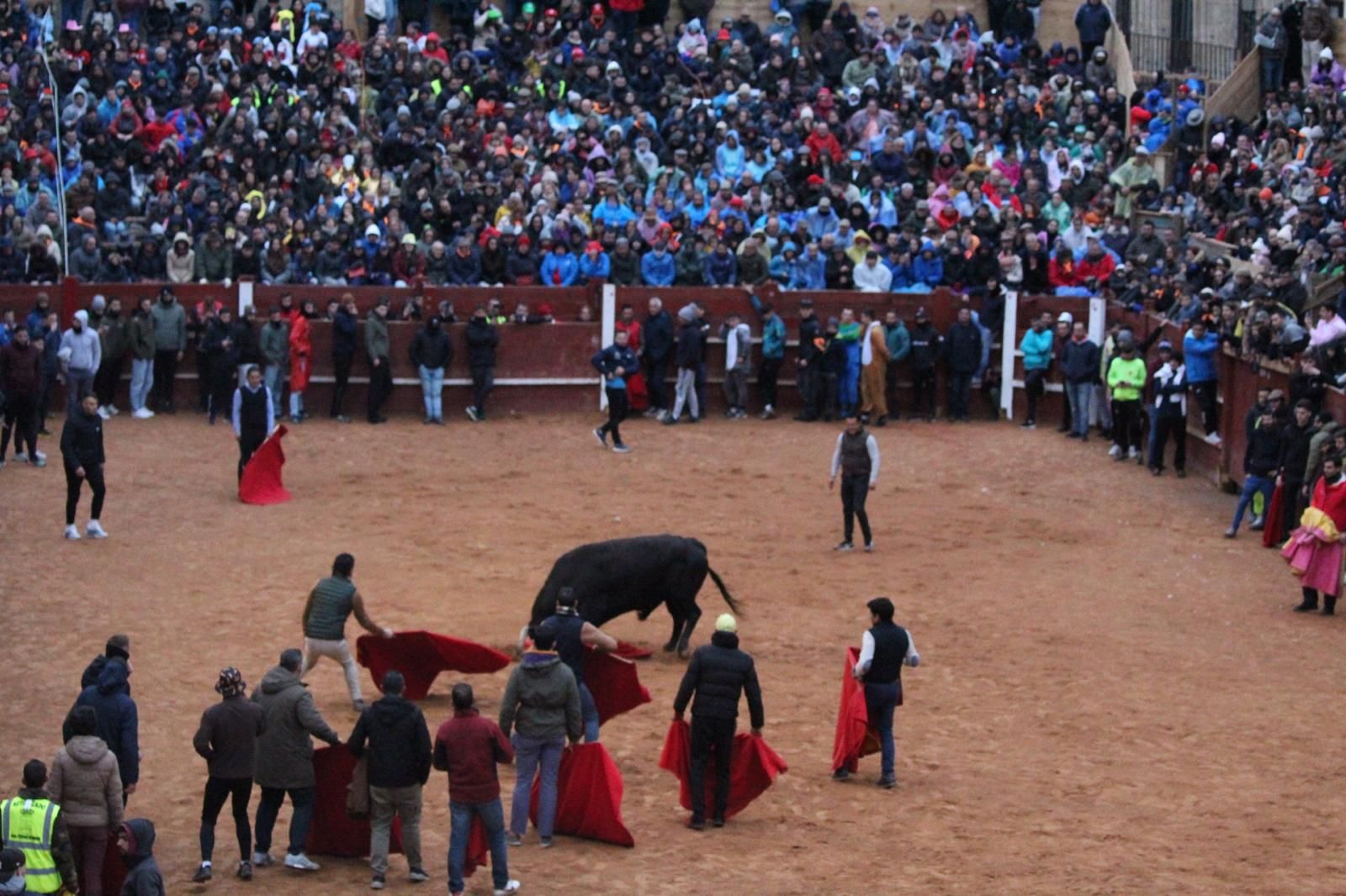 ambiente-y-capea-vespertina-sabado-de-carnaval-en-ciudad-rodrigo-2025-fotos-belen-hurtado-33