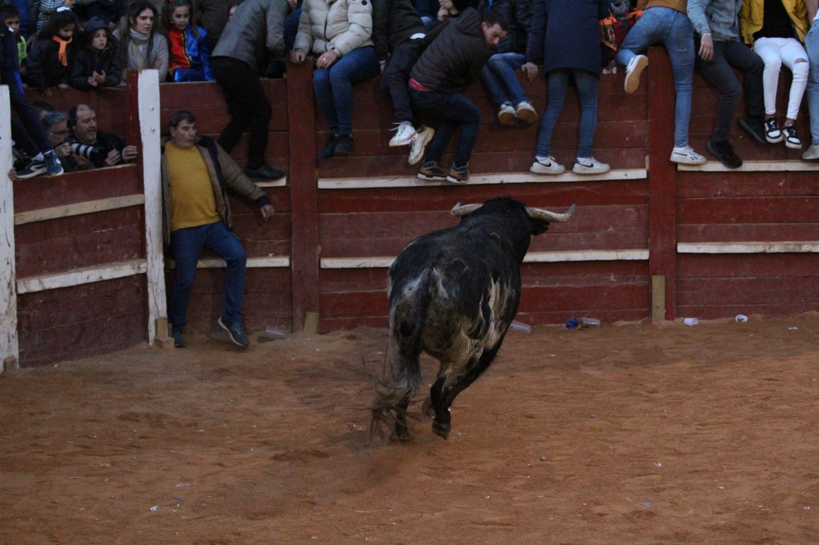 capea-de-ciudad-rodrigo-33
