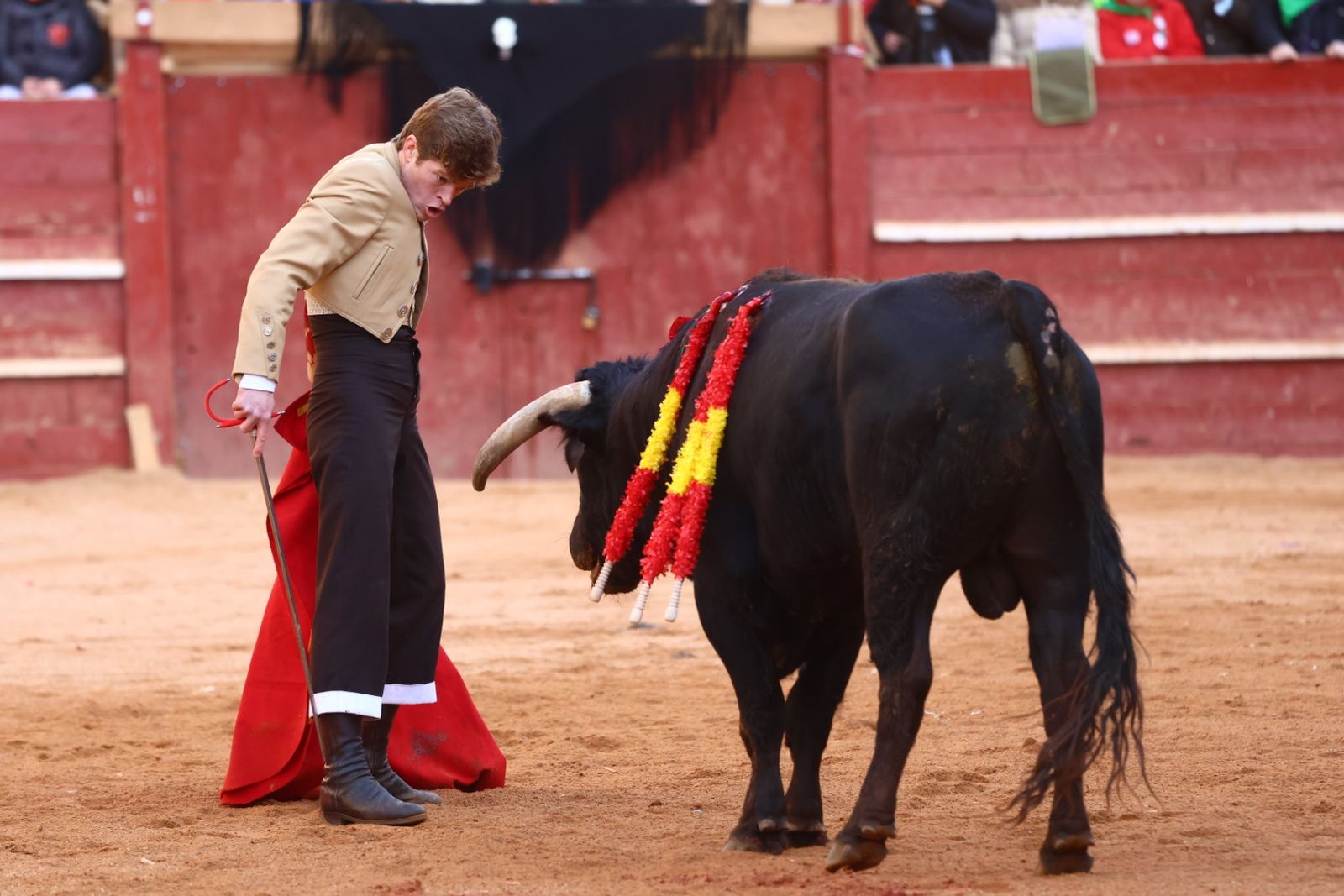 Festival del martes en el Carnaval del Toro 2026
