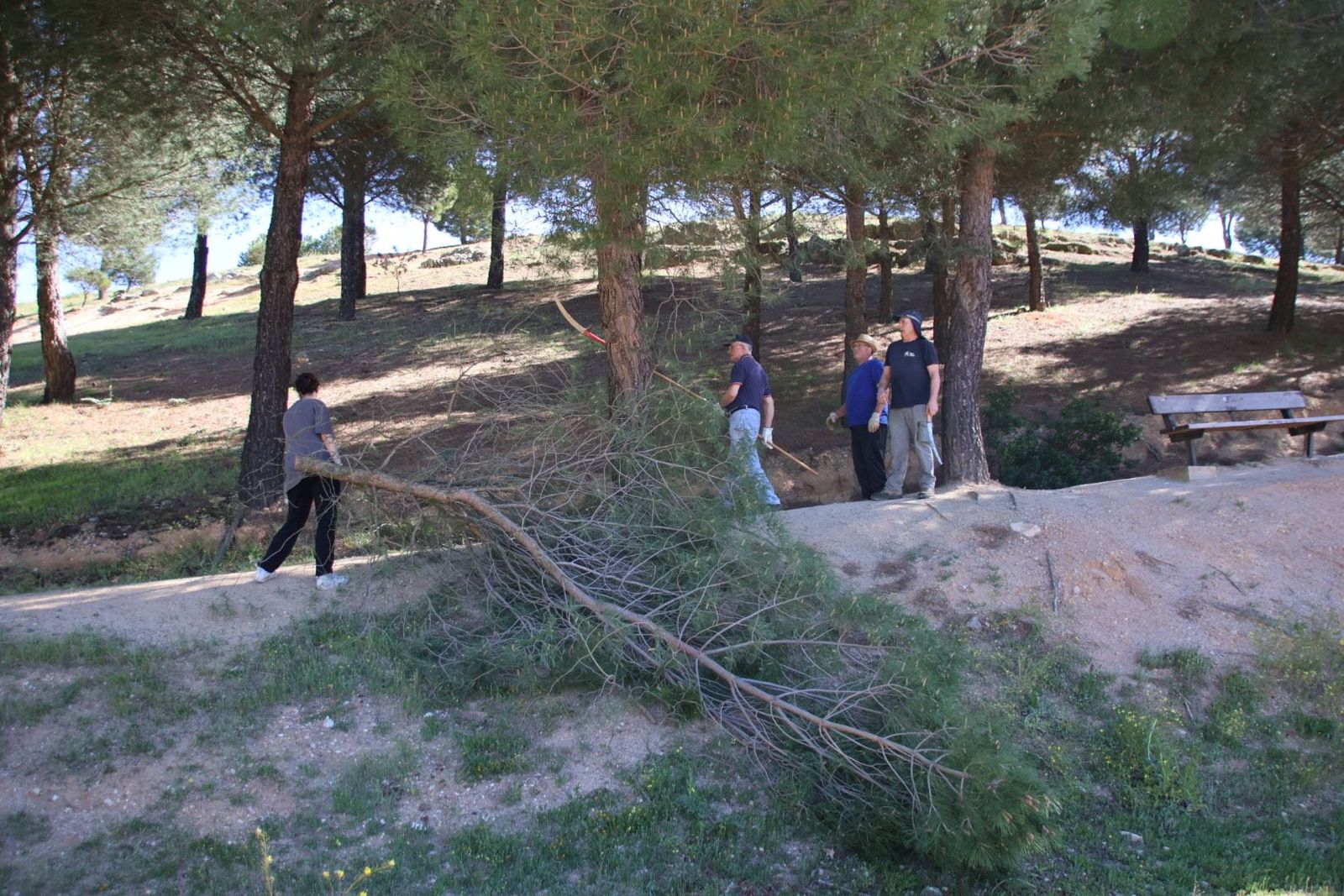 20240413104214-img-8070