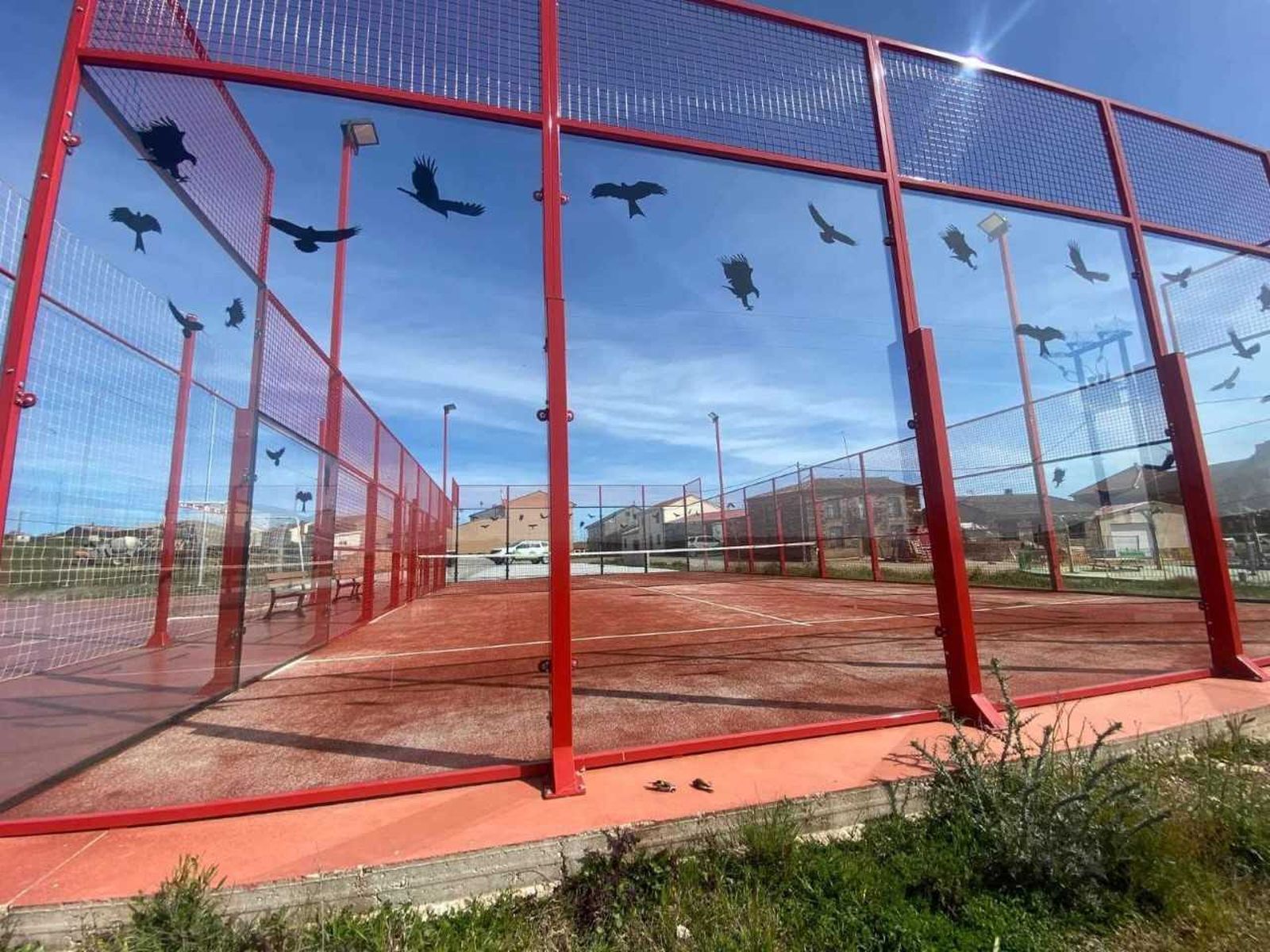 Denuncian la elevada mortalidad de aves en las pistas de pádel de Perilla de Castro