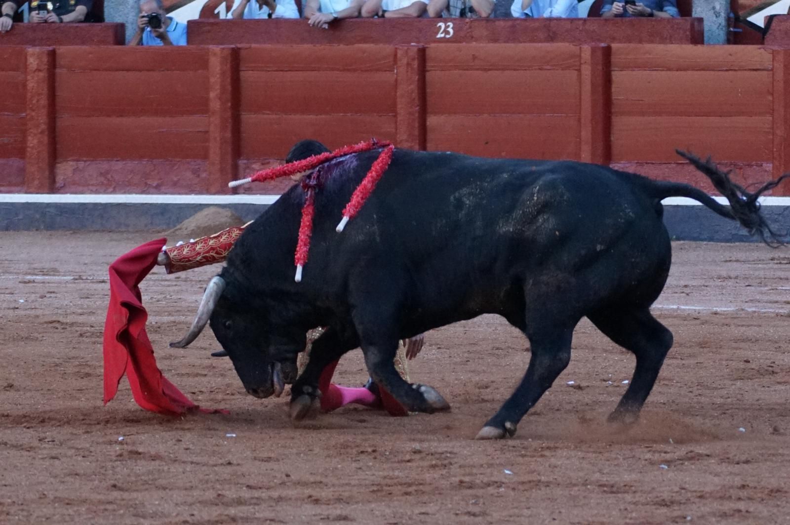Emilio de Justo, Juan Ortega y Roca Rey inauguran el cartel de figuras en la feria de Salamanca: la corrida de Garcigrande en imágenes