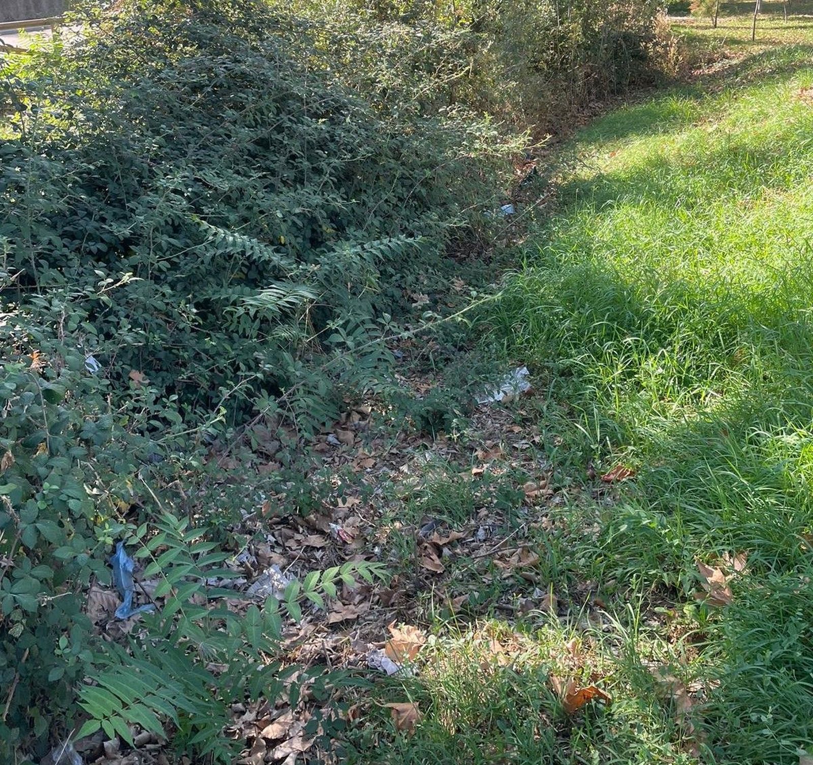 denuncian-el-estado-del-regato-situado-en-el-parque-lazarillo-de-tormes-de-tejares-1