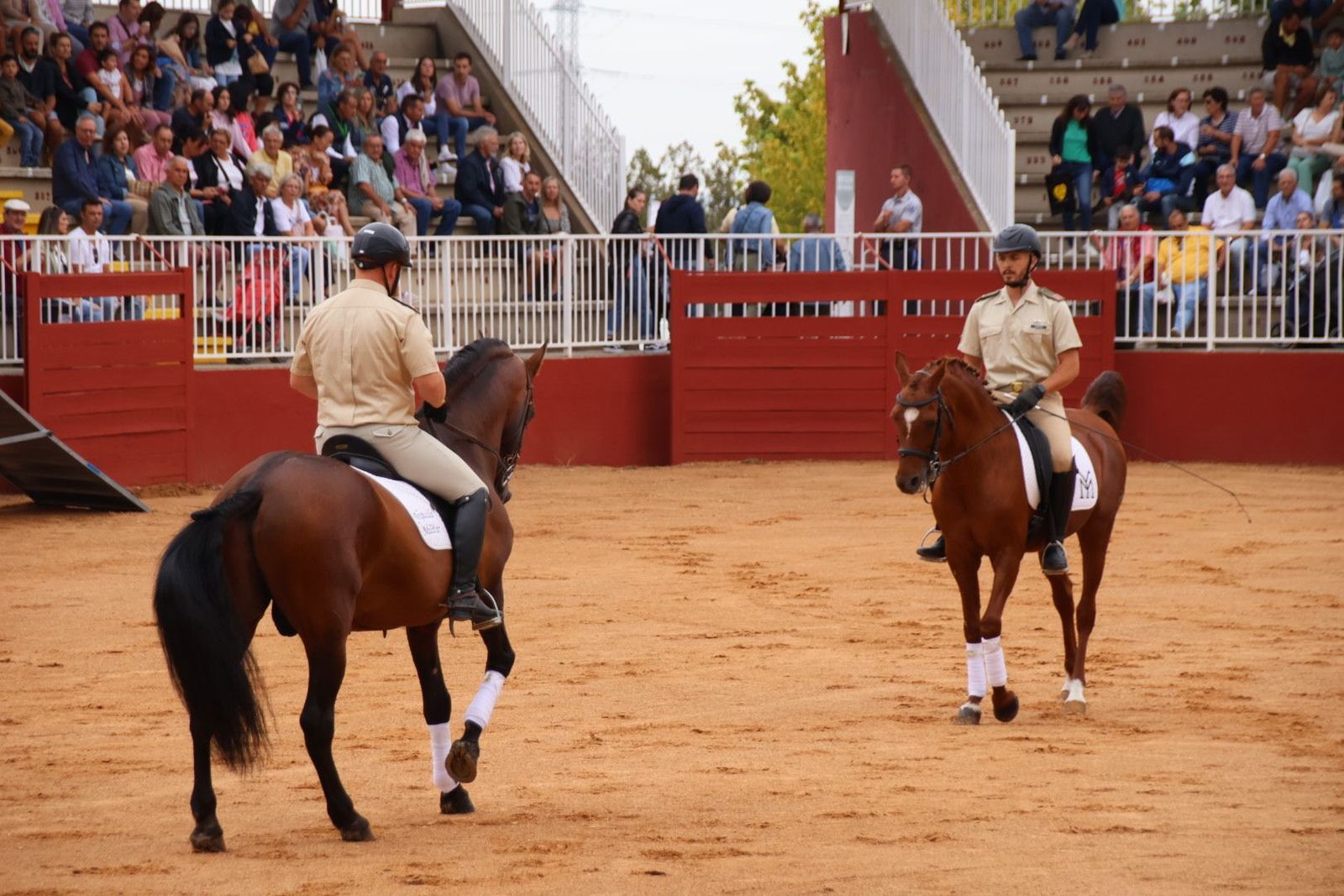 20230902111019-img-7038