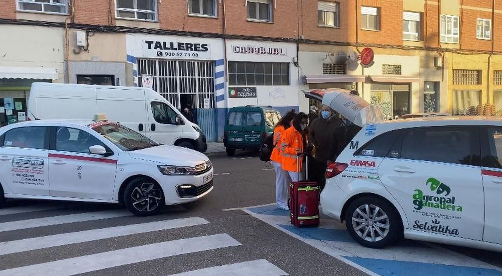 Vacunas tres arboles