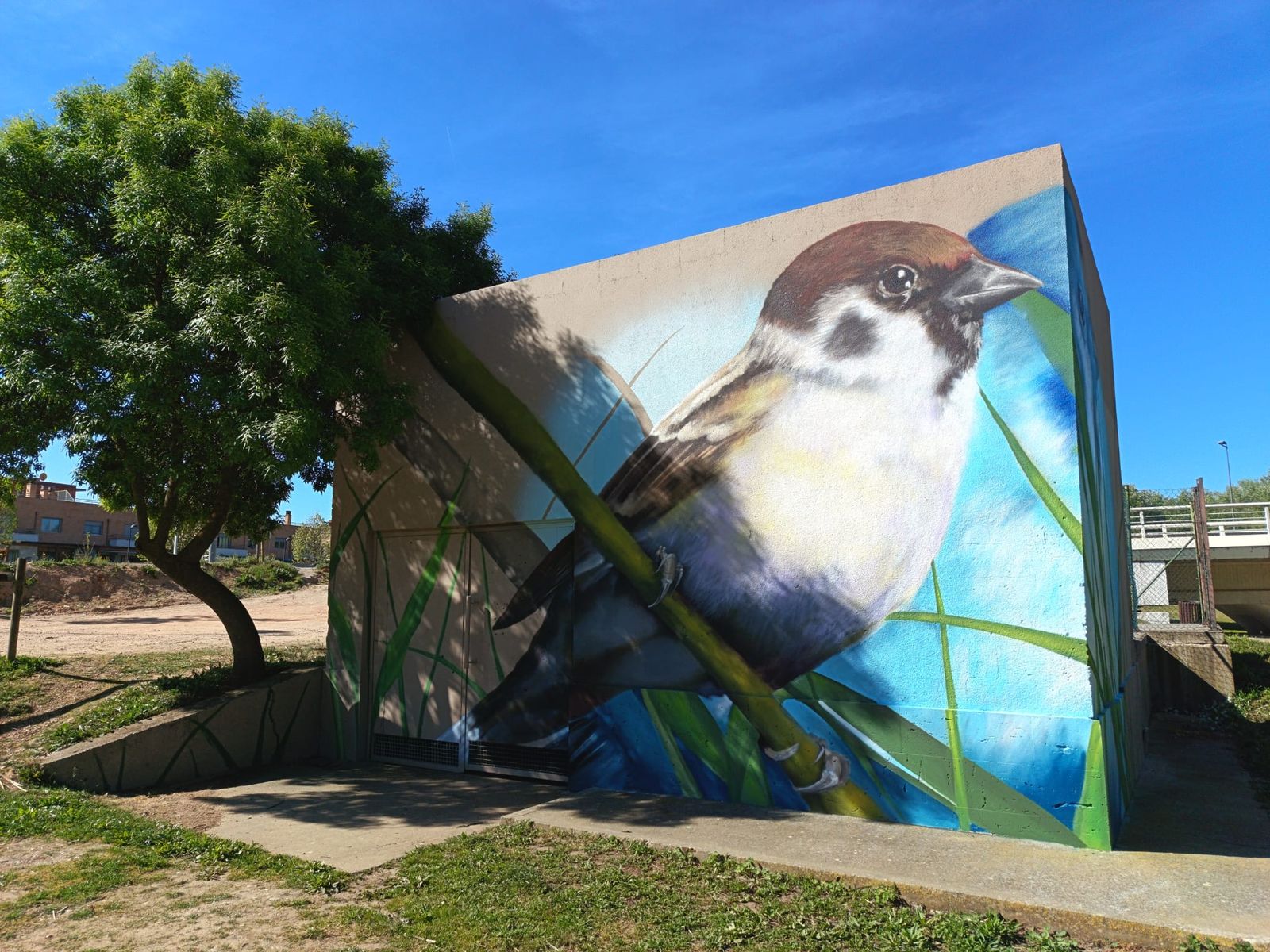 Nuevo mural en Zamora capital con la naturaleza como protagonista