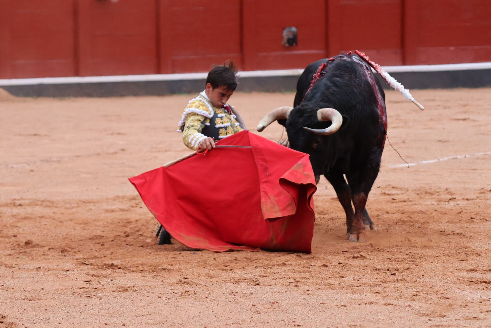 Ismael Martín, Marco Pérez y el aclamado regreso de Morante de la Puebla: su paso por La Glorieta en imágenes