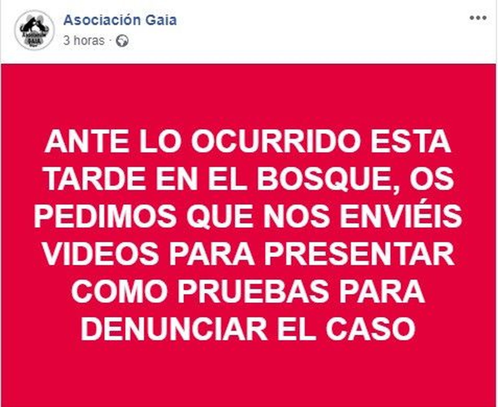 WhatsApp Image 2019 01 14 at 22.22.40