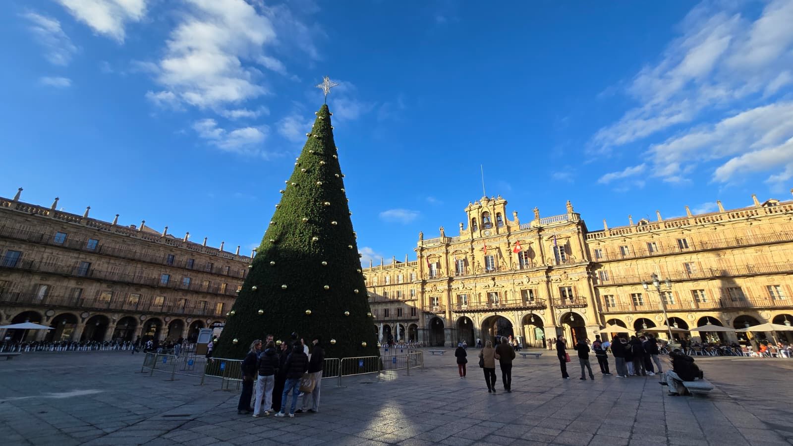 El gran árbol de Navidad en la Plaza Mayor de Salamanca