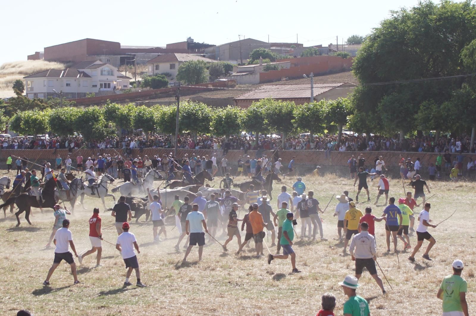 Encierros en Fuentesaúco  Fotos: Juanes