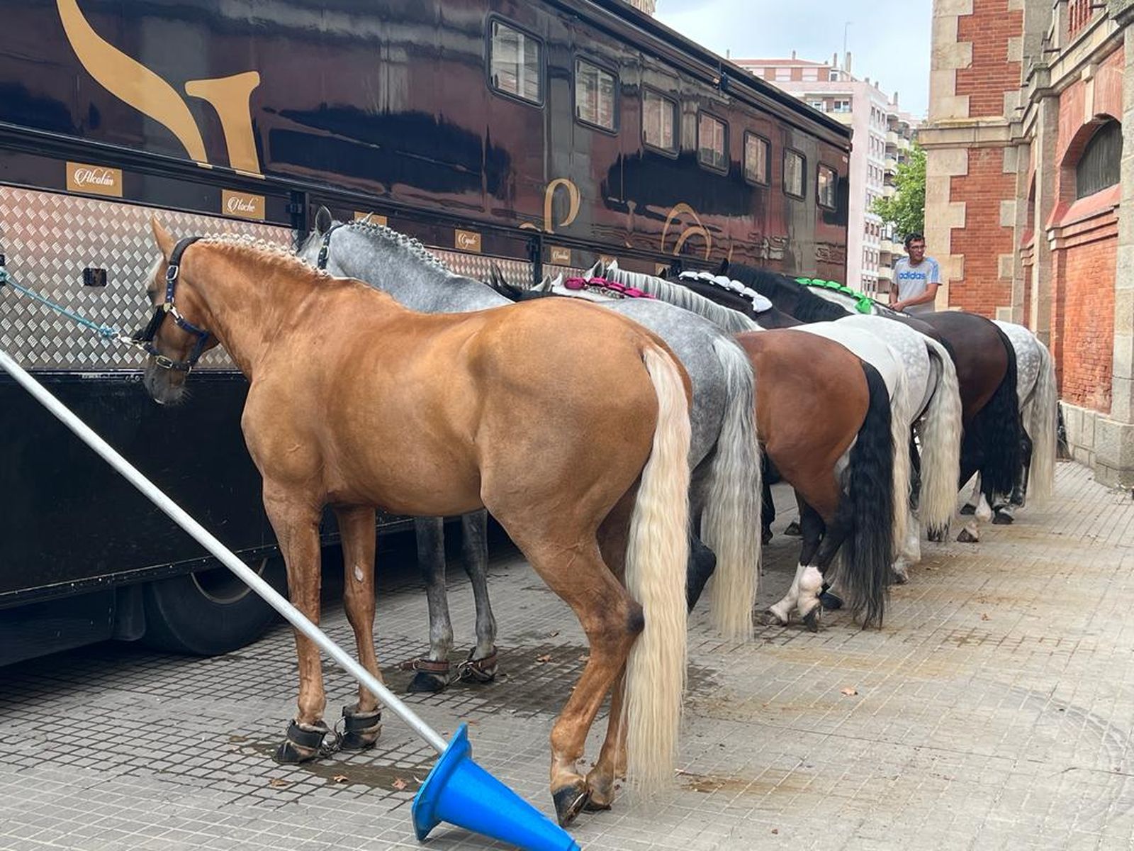 AMBIENTE DURANTE EL SORTEO