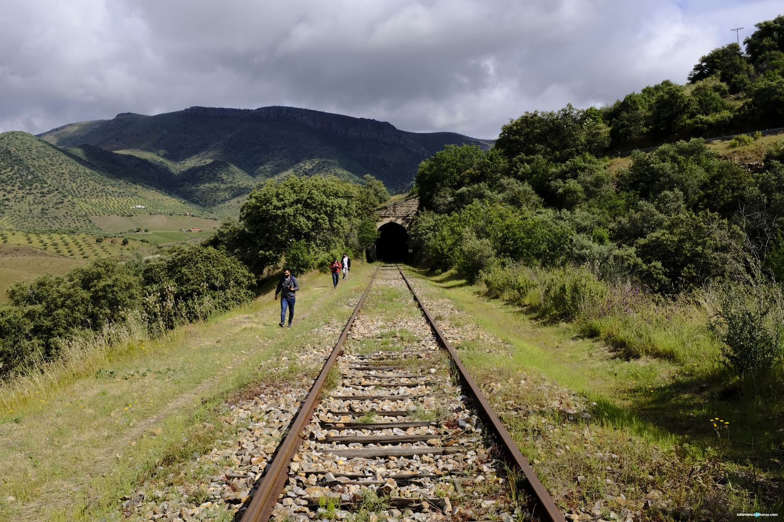 GALERÍA | Camino de Hierro