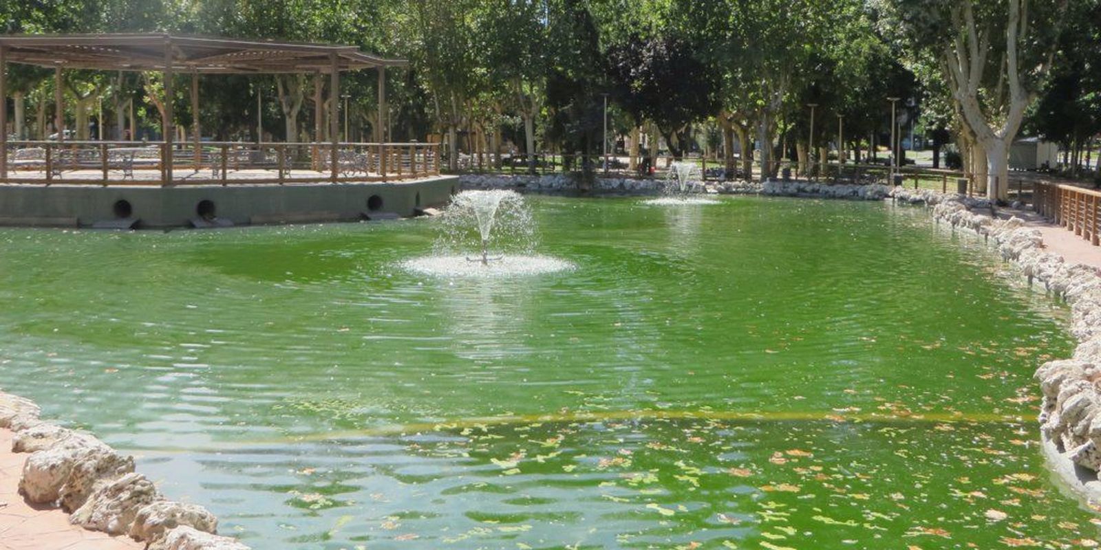 Estanque de La Alamedilla. Foto: Ciudadanos por la Defensa del Patrimonio