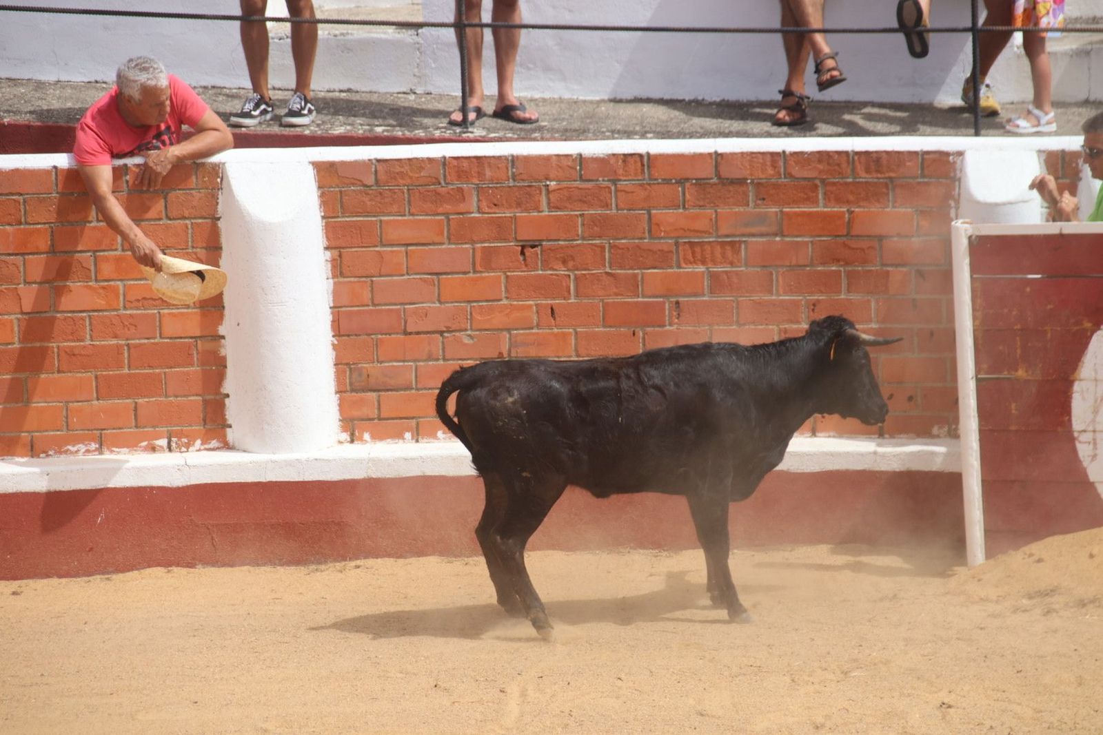 20230809115732-img-9592