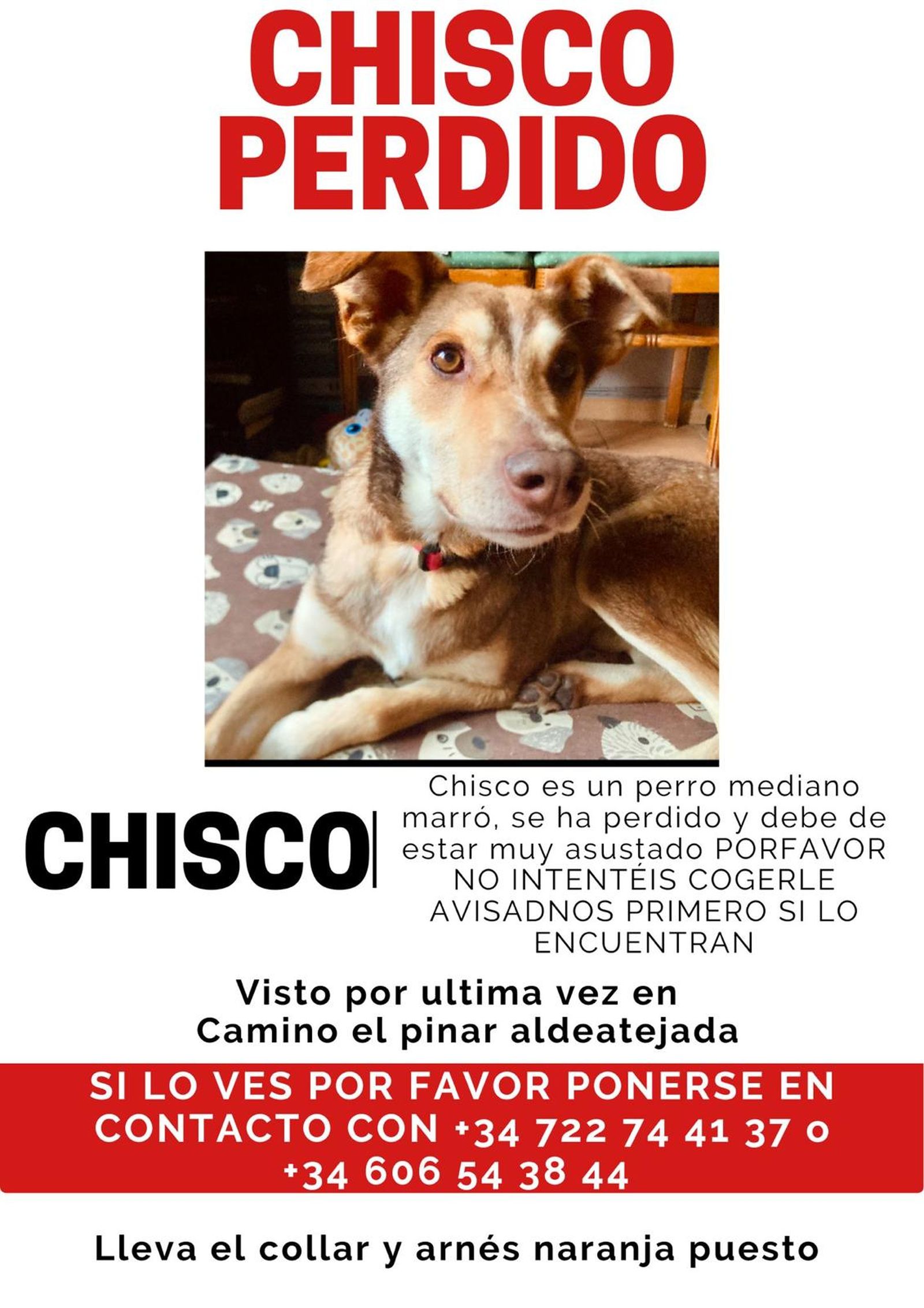 Imagen de WhatsApp 2025 03 14 a las 16.59.29 91885b1f