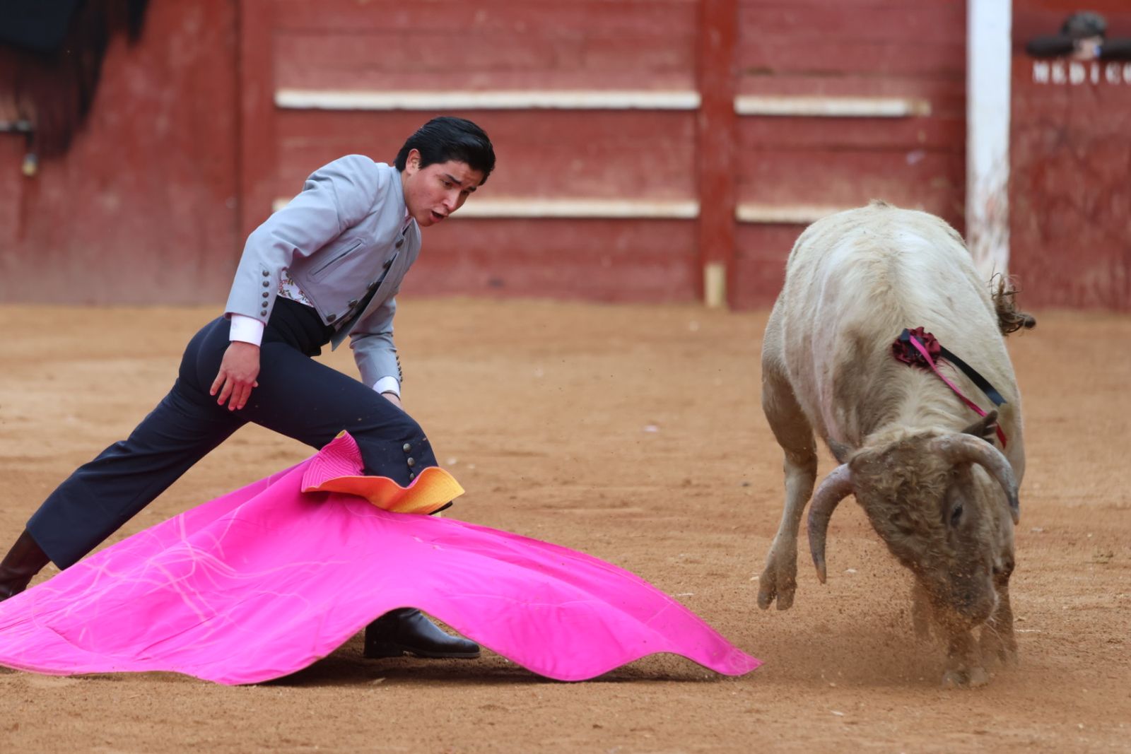 Novillada sin picadores del bolsín taurino y rejones en Ciudad Rodrigo