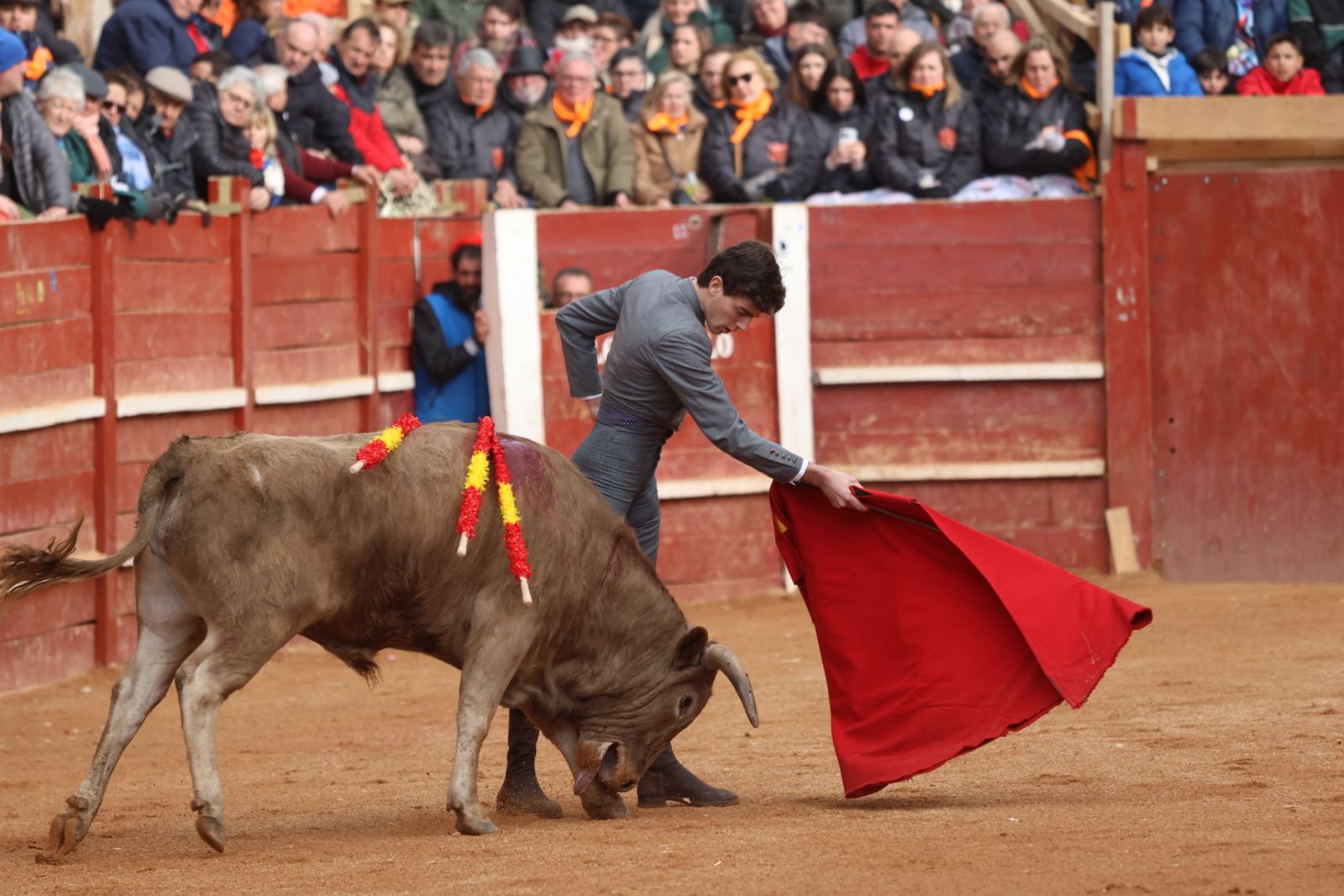 Novillada sin picadores del bolsín taurino y rejones en Ciudad Rodrigo