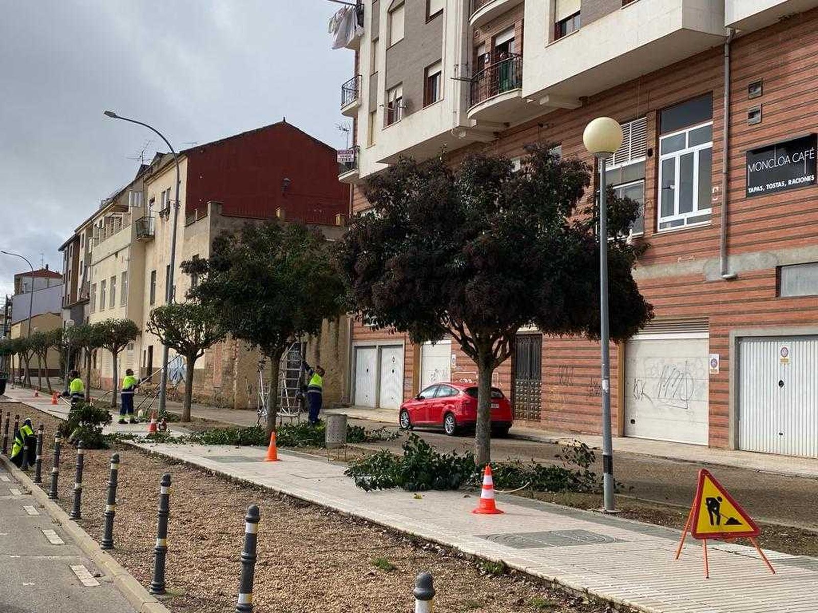 Poda de árboles en Benavente