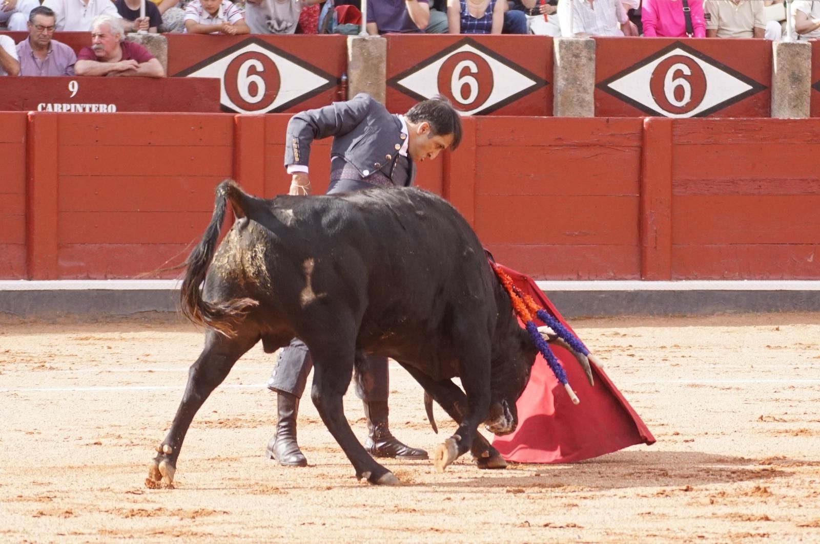 whatsapp-image-2025-06-12-at-21-26-00-3