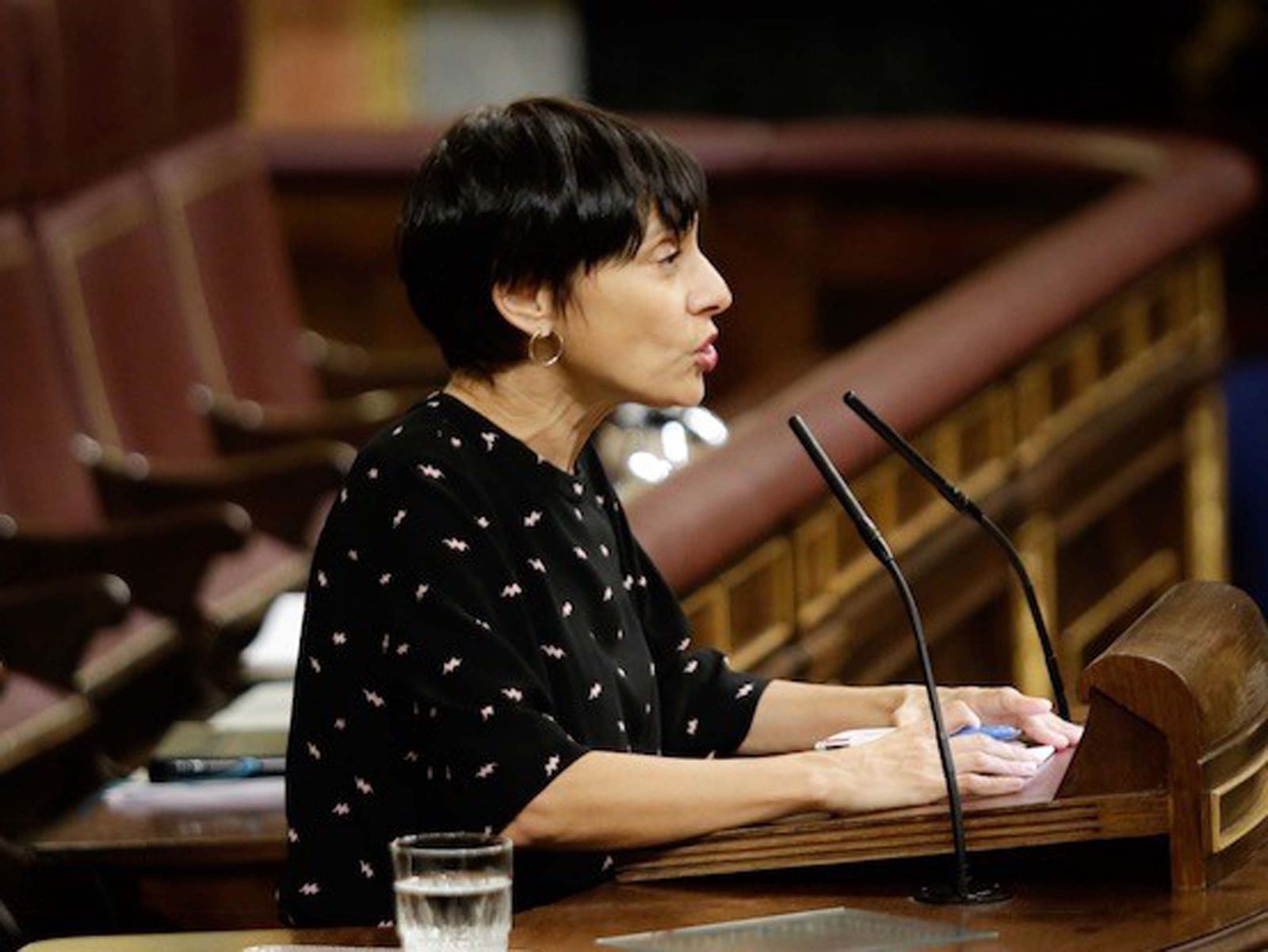 Rocío de Frutos, diputada del PSOE