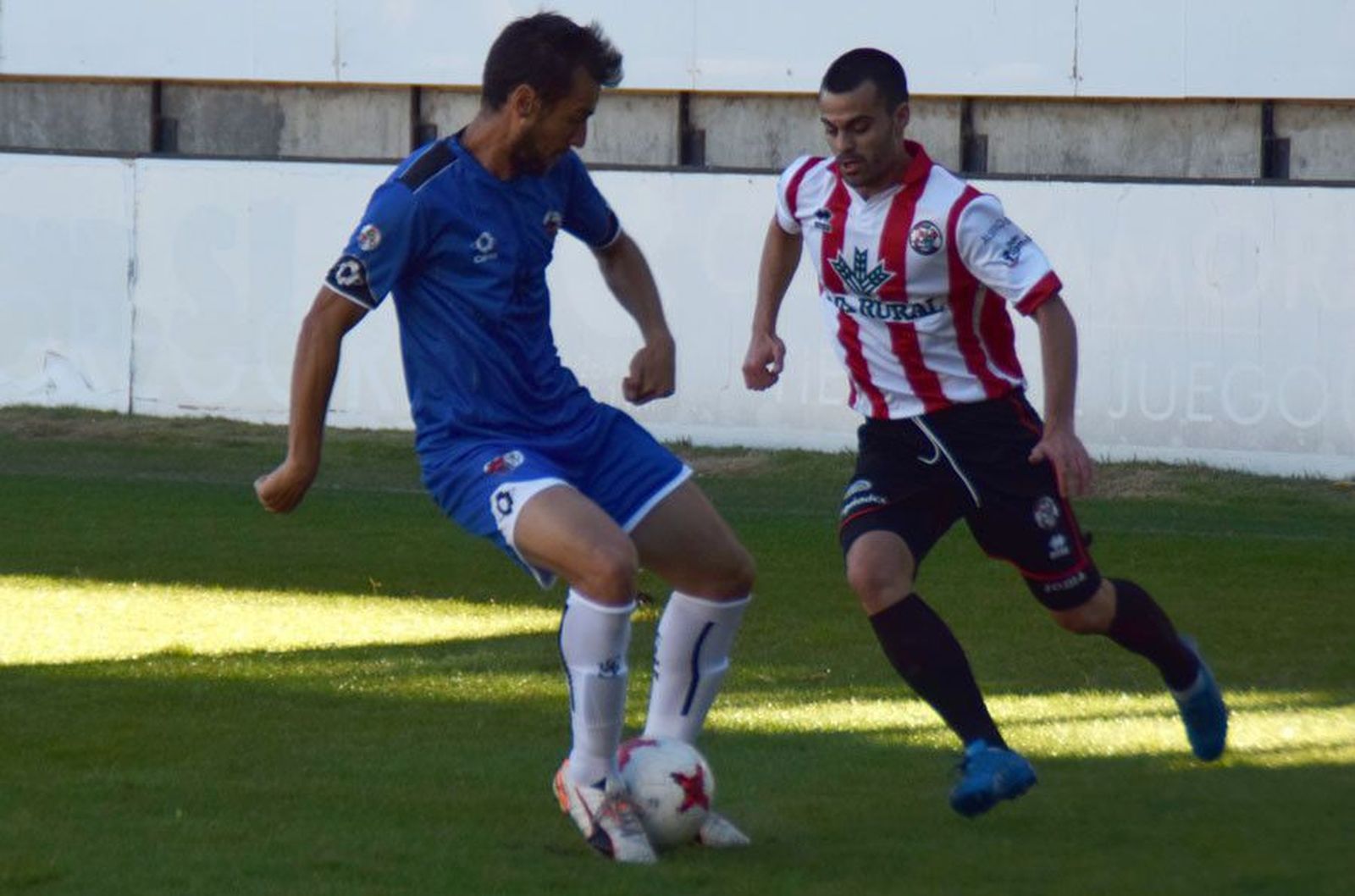 Javizamora salmantino