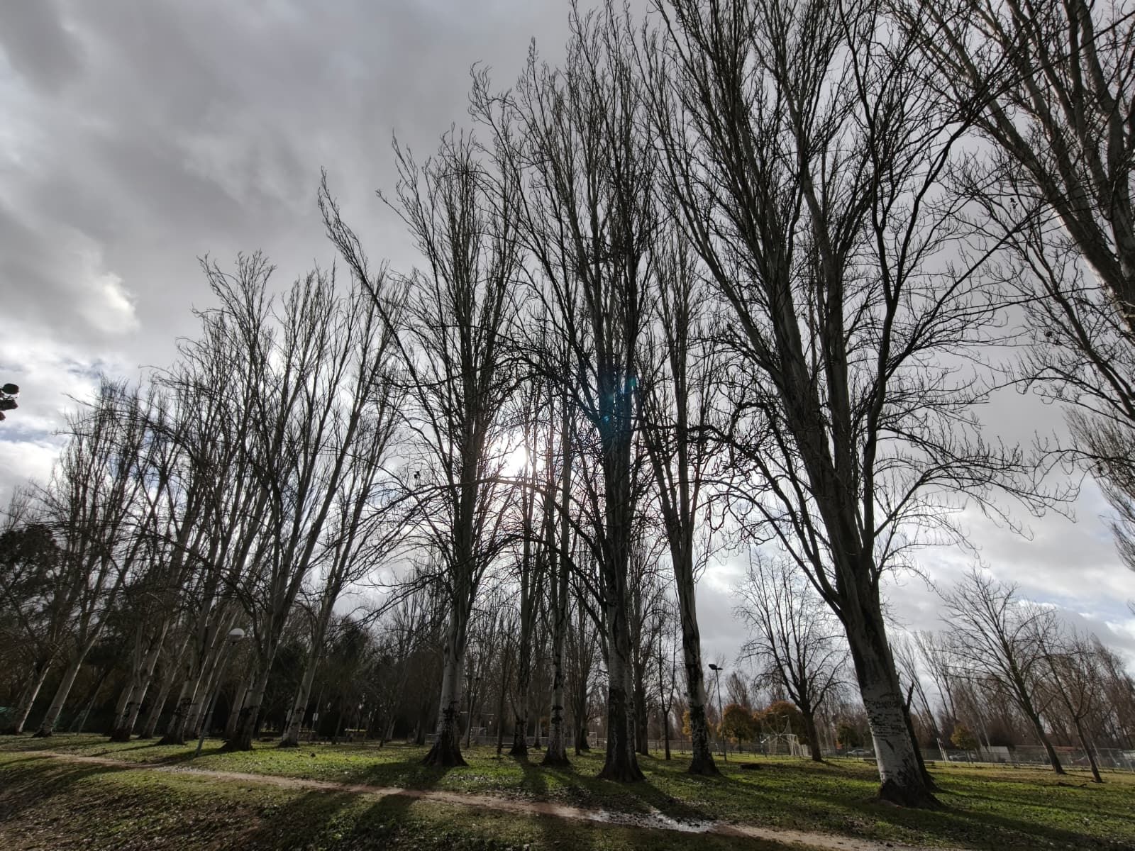 Parque, jardines y campos de fútbol de La Aldehuela