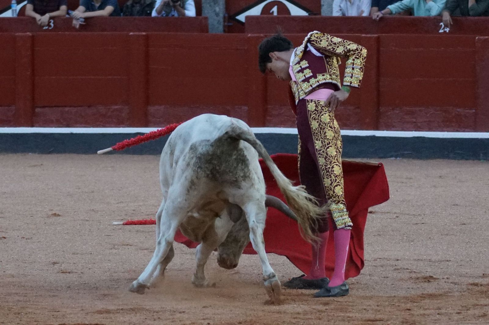 Clase práctica con alumnos de la Escuela de Tauromaquia de Salamanca (Diego Mateos, Noel García y Álvaro Rojo con erales de Esteban Isidro)