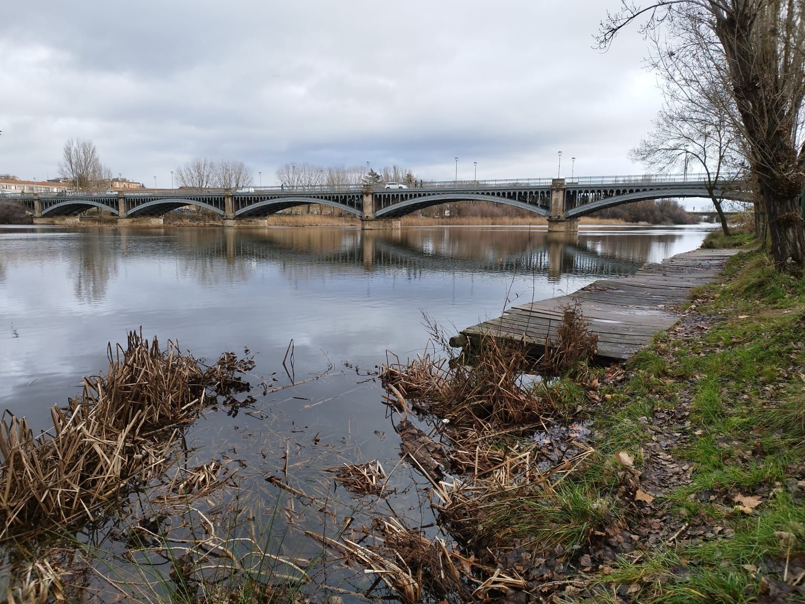 rio-tormes-a-su-paso-por-salamanca-tras-la-borrasca-irene-fotos-andrea-m-7