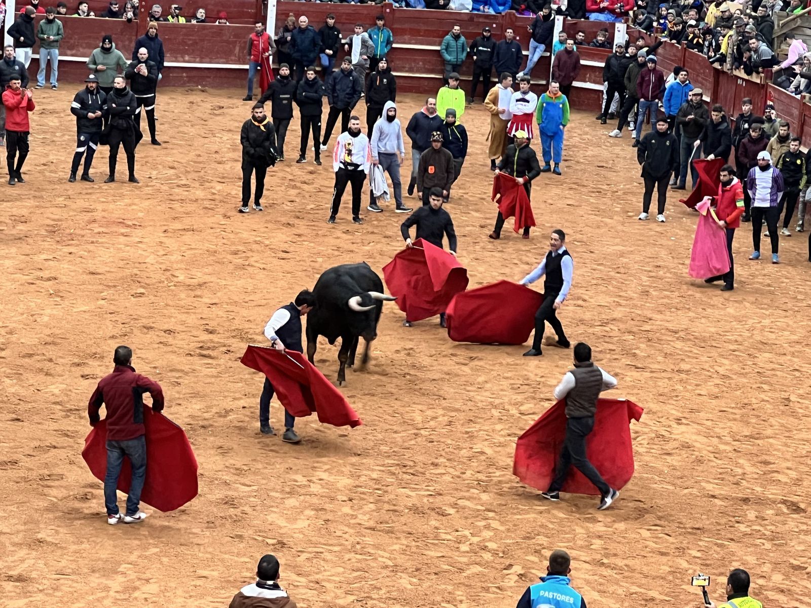 Ambiente y capea vespertina Sábado de Carnaval en Ciudad Rodrigo 2025