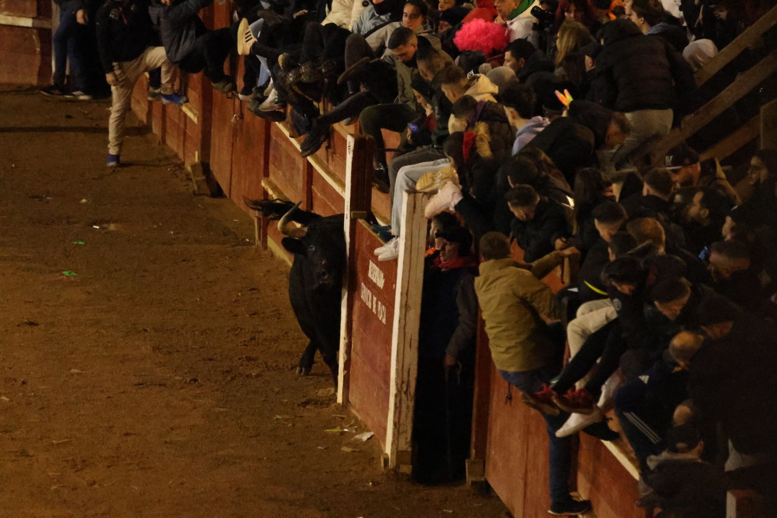 Capea Nocturna del Viernes en Ciudad Rodrigo
