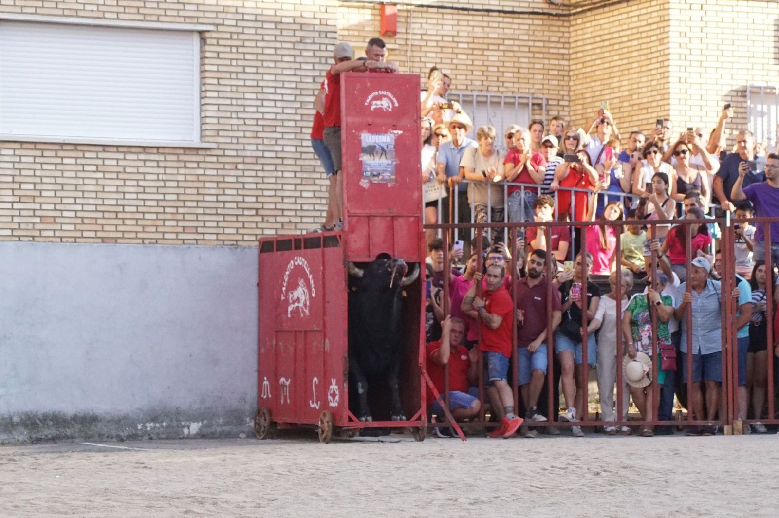 whatsapp-image-2024-08-04-at-21-09-57-2