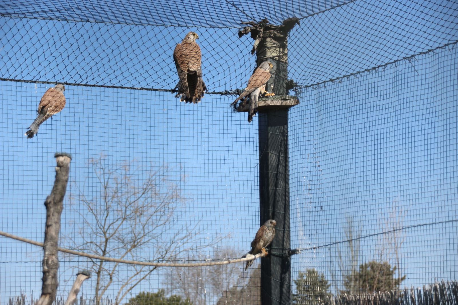 20230304150542-img-1622