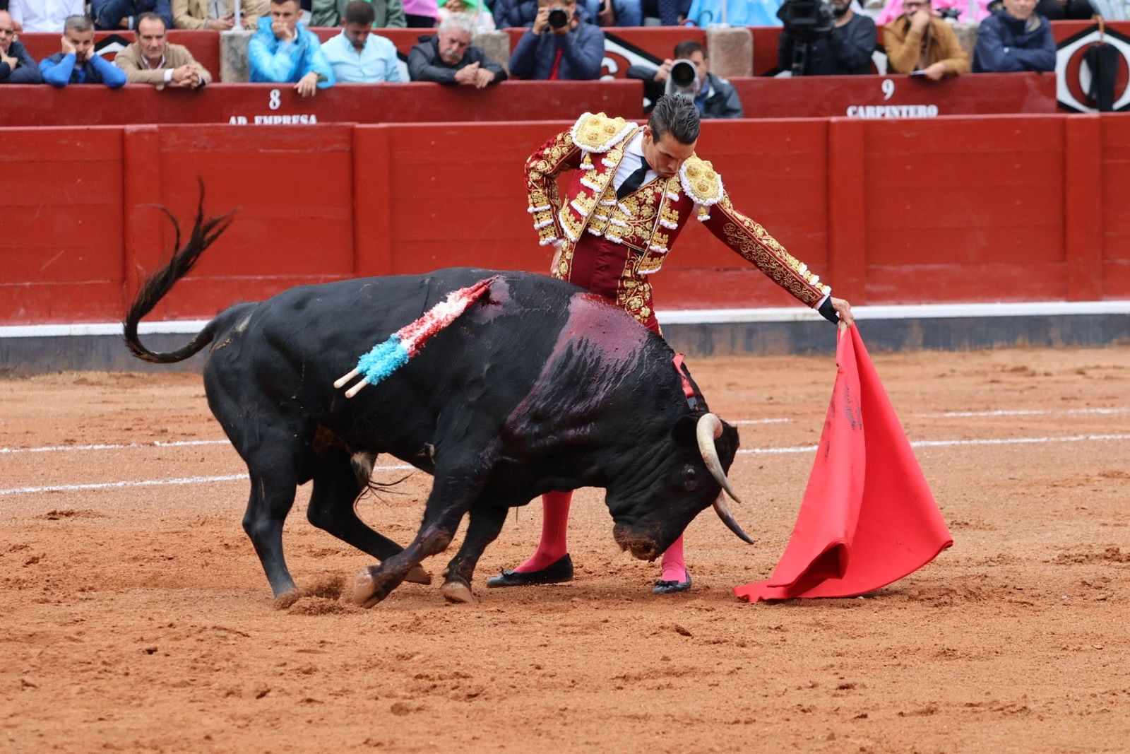 20230916173818-img-5305