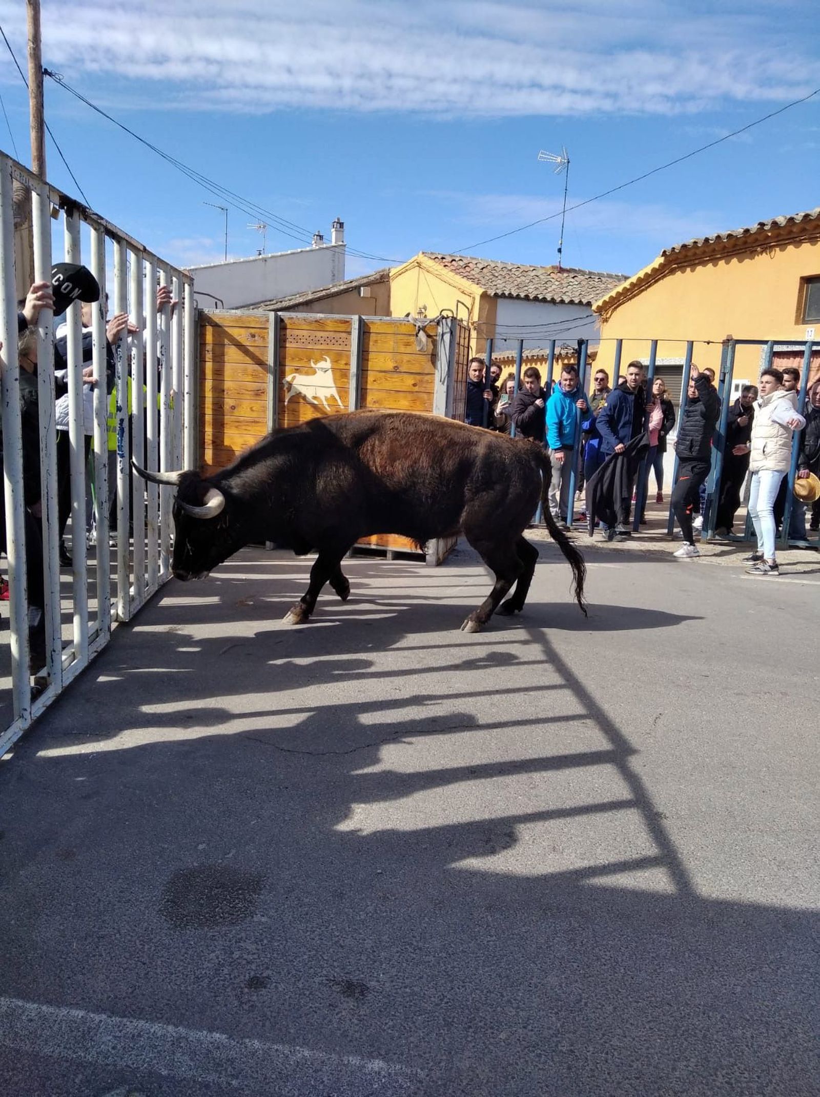 Toro del cajón de Cantalapiedra
