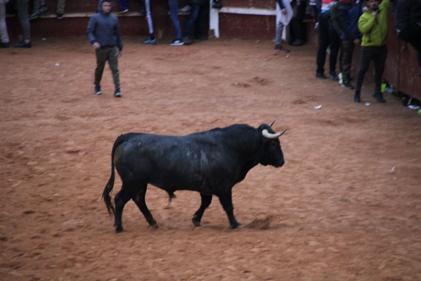 whatsapp-image-2025-03-02-at-19-32-35-3