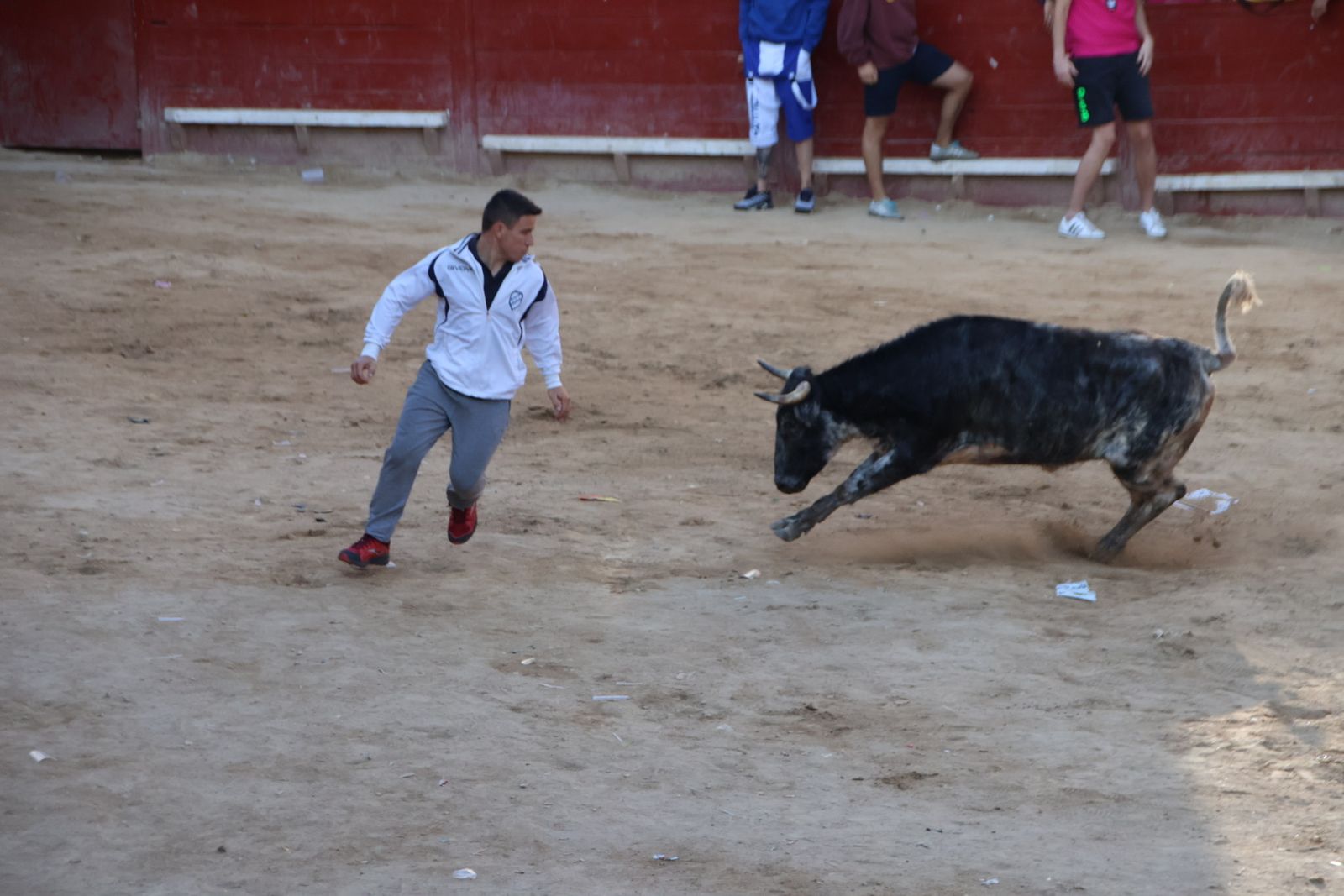 Encierro en Aldeadávila